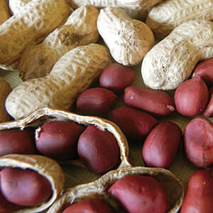 Maní cáscara tostado en vaina 5kg